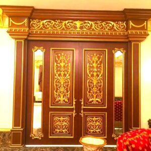 luxury door